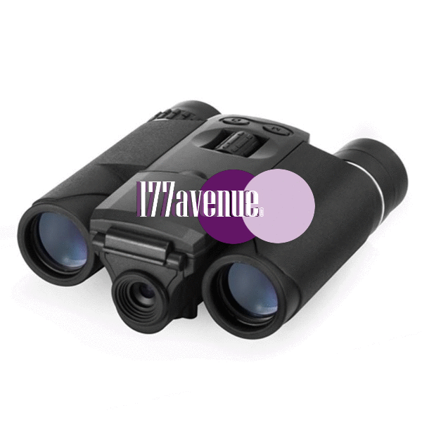 Binocular camera - 177avenue